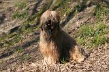 BRIARD 022